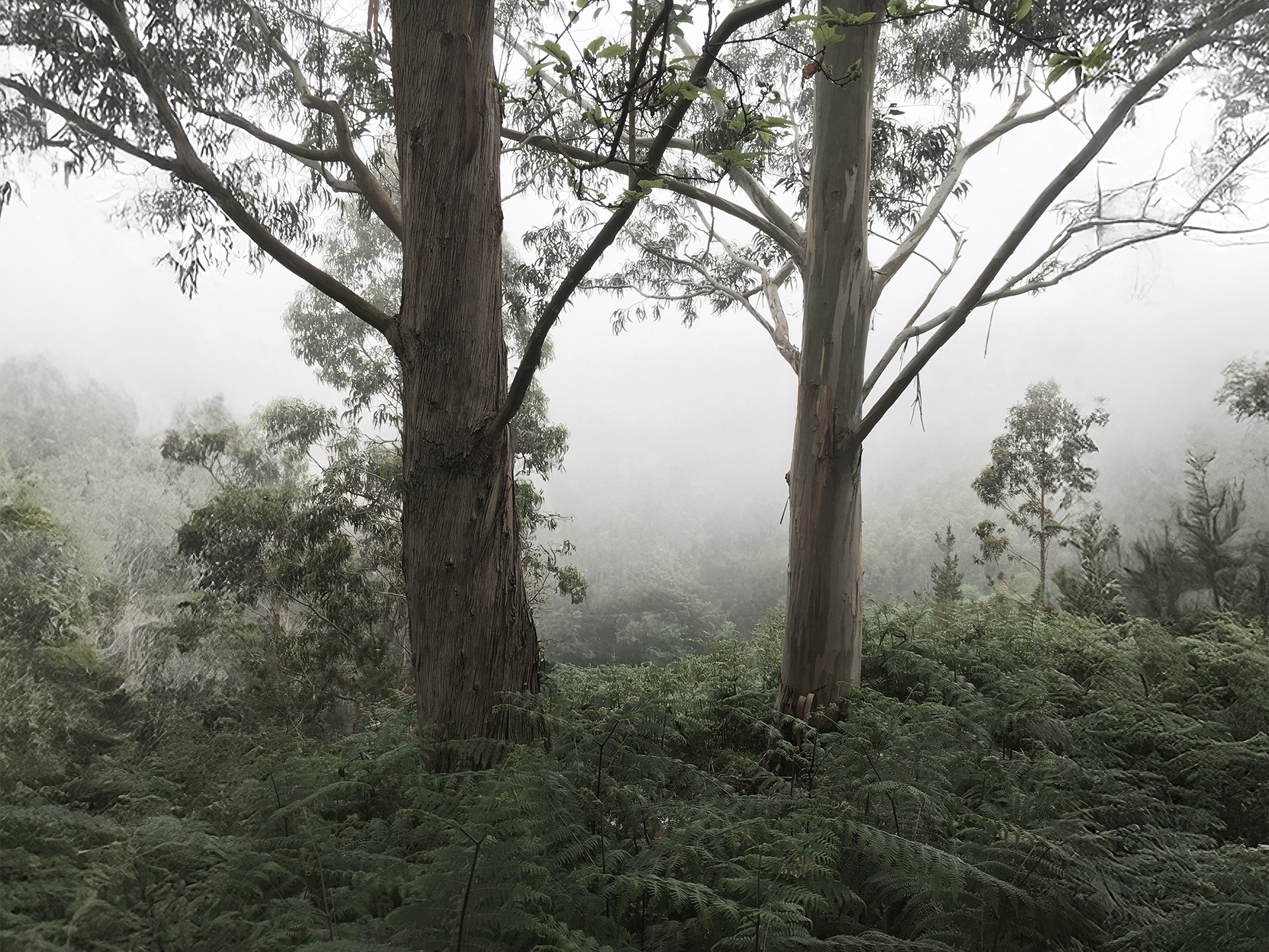 vega-swing-by-janhomann-for-paul_01_01