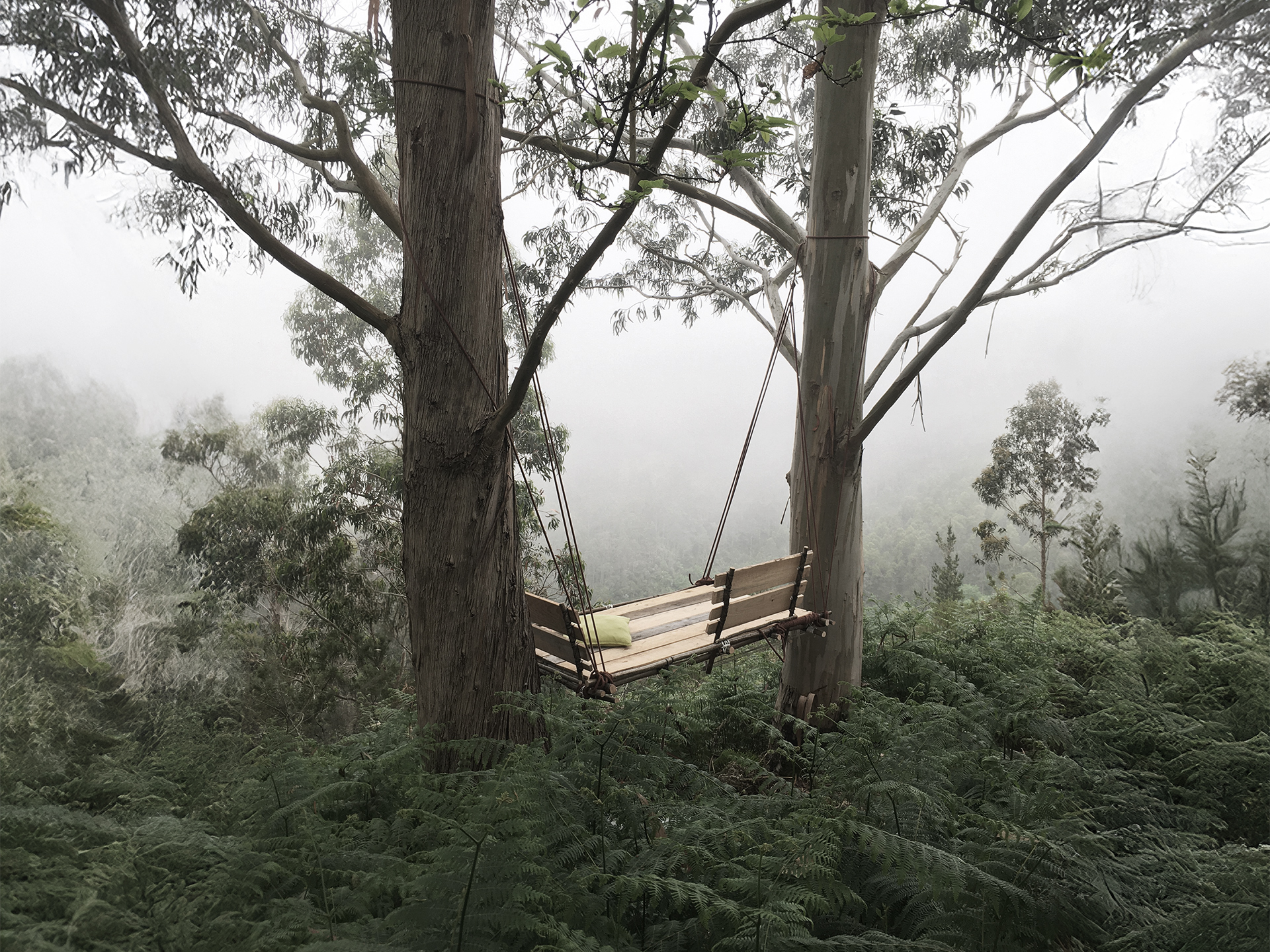 vega-swing-by-janhomann-for-paul_01_02